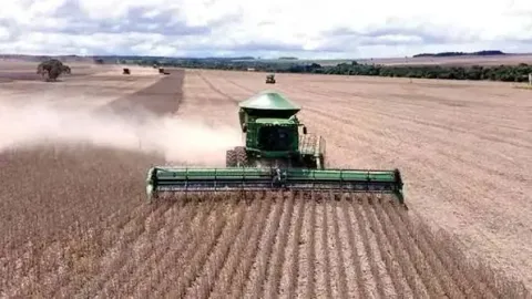 ANAPO alerta riesgo en la cosecha de invierno por falta de diésel 